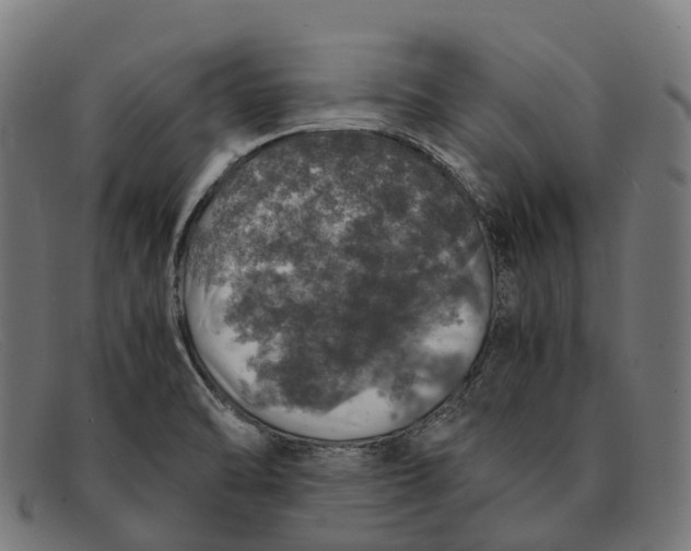 X0000091491470200709131821