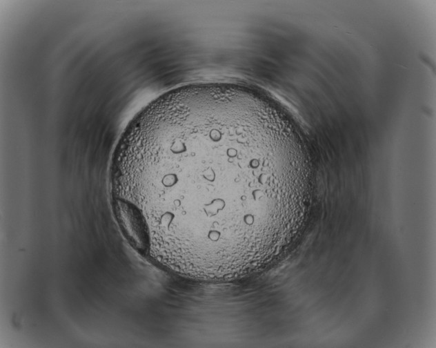 X0000091491471200709131821