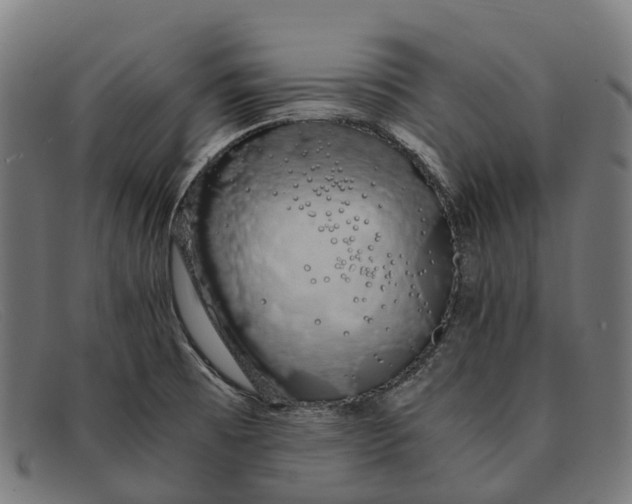 X0000091491473200709131821