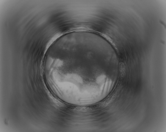 X0000091491474200709131821