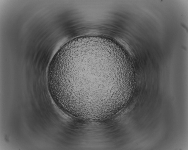 X0000091491475200709131821