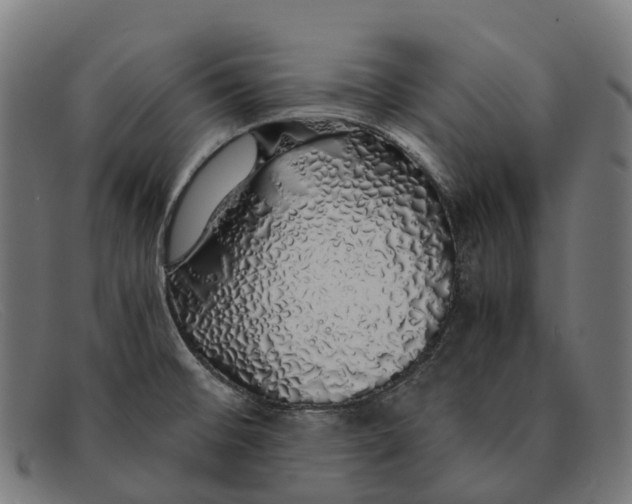 X0000091491476200709131821