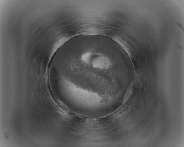 X0000091491477200709131821