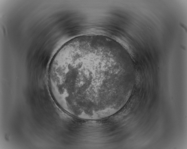 X0000091491478200709131821