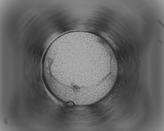 X0000091491479200709131821