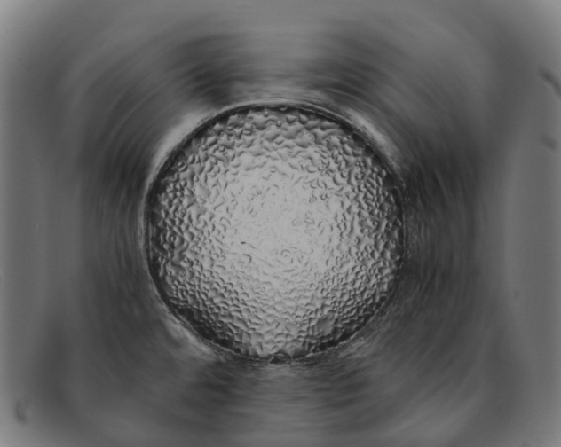 X0000091491480200709131821