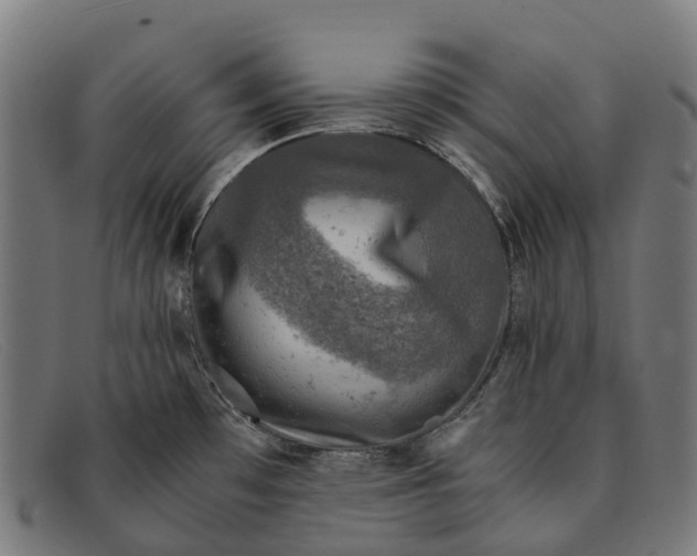 X0000091491481200709131821