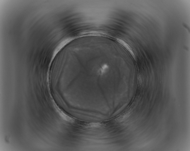 X0000091491482200709131821