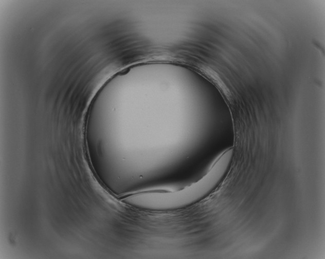 X0000091491483200709131821