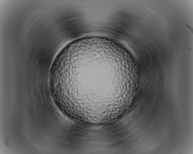 X0000091491484200709131821