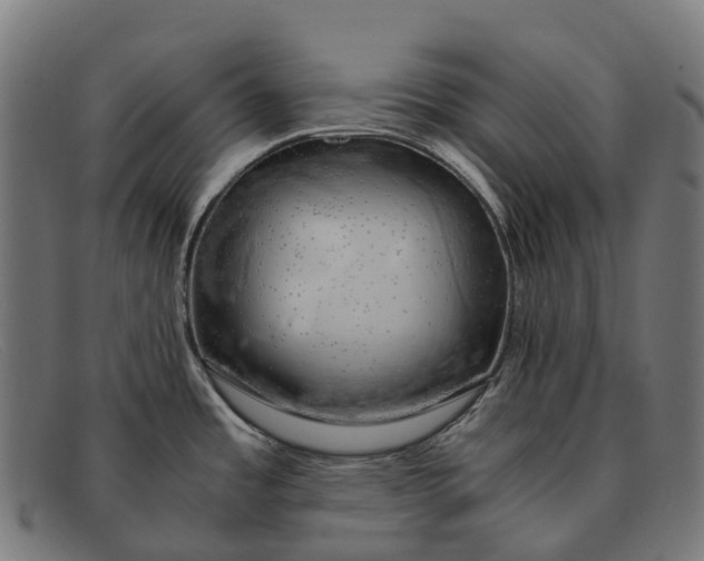 X0000091491485200709131821