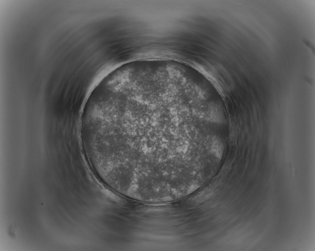 X0000091491486200709131821