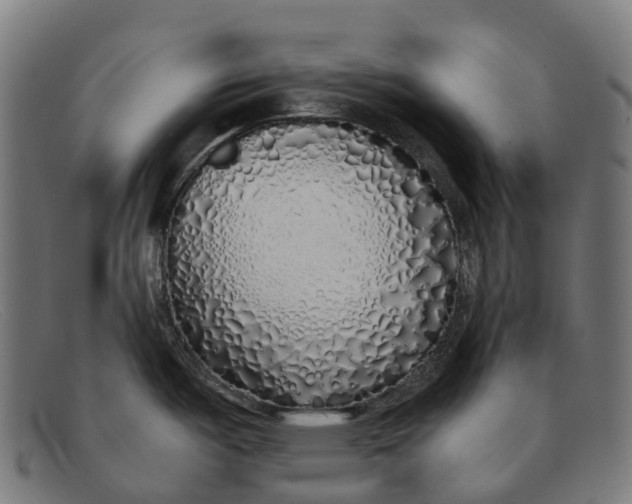 X0000091491487200709131821