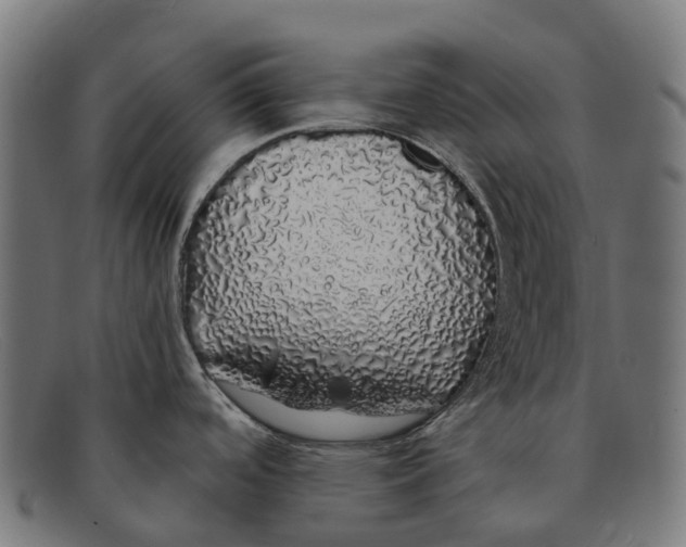 X0000091491488200709131821