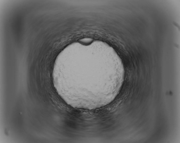 X0000091491489200709131820