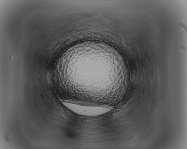 X0000091491490200709131820