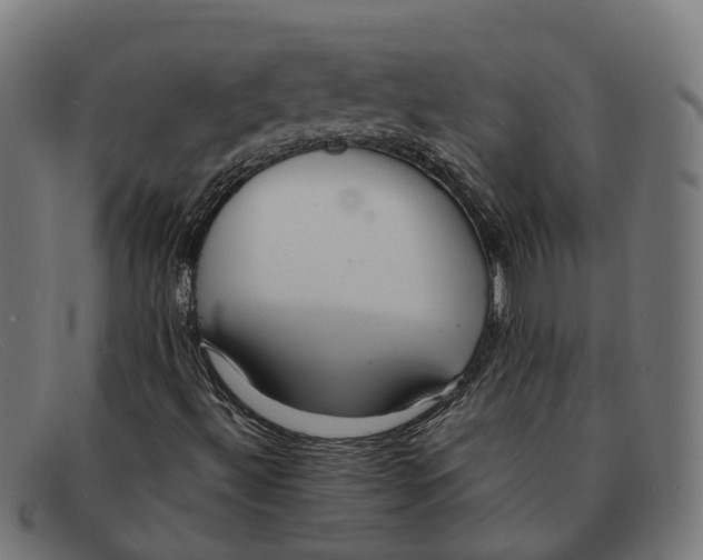 X0000091491492200709131820