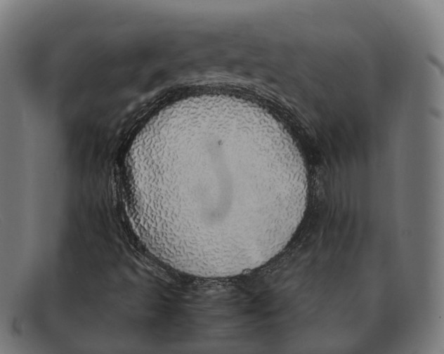 X0000091491493200709131820