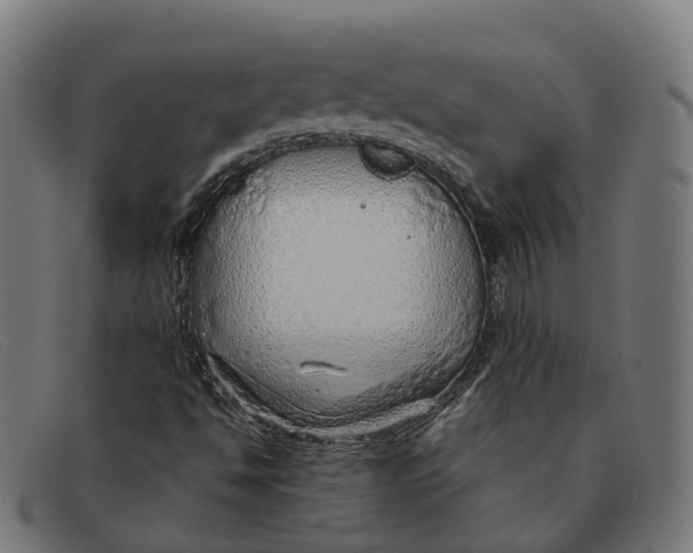 X0000091491494200709131820