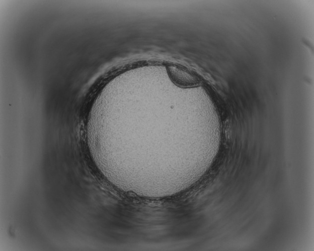 X0000091491495200709131820