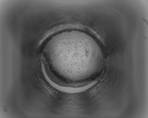 X0000091491496200709131820