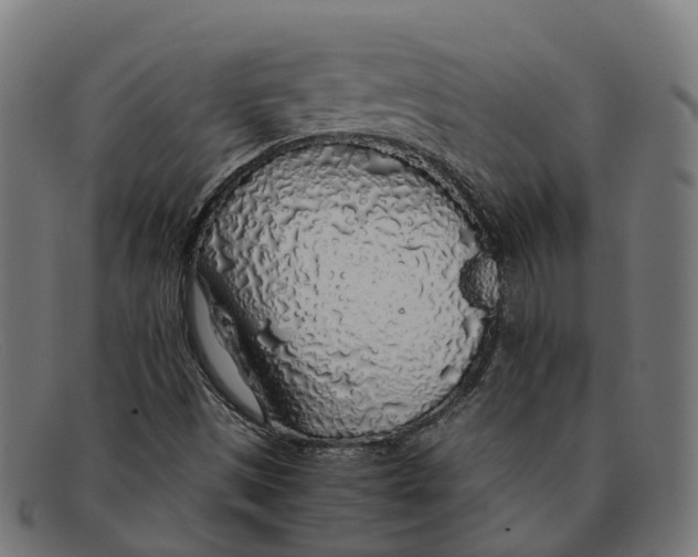 X0000091491497200709131820
