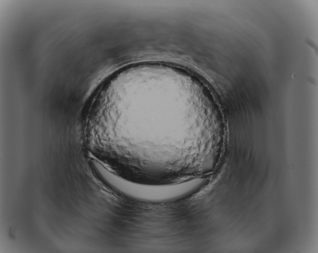 X0000091491501200709131821