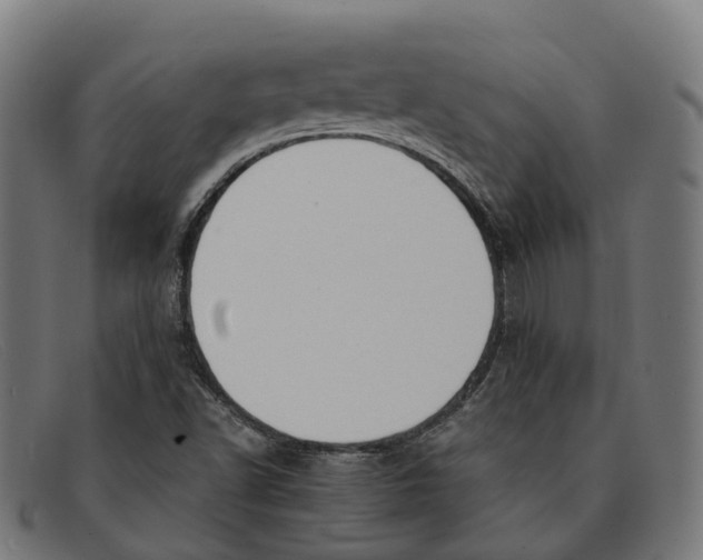 X0000091491502200709131821