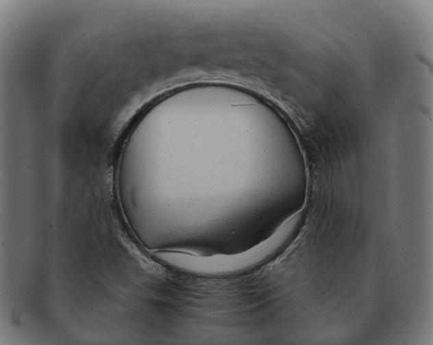 X0000091491503200709131821