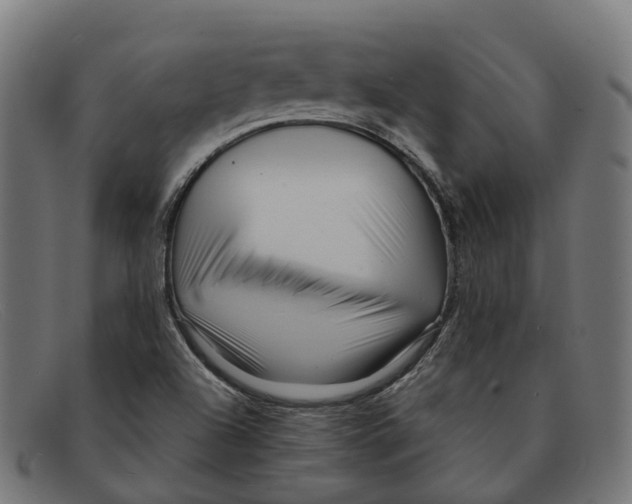 X0000091491504200709131821