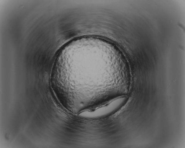 X0000091491505200709131821
