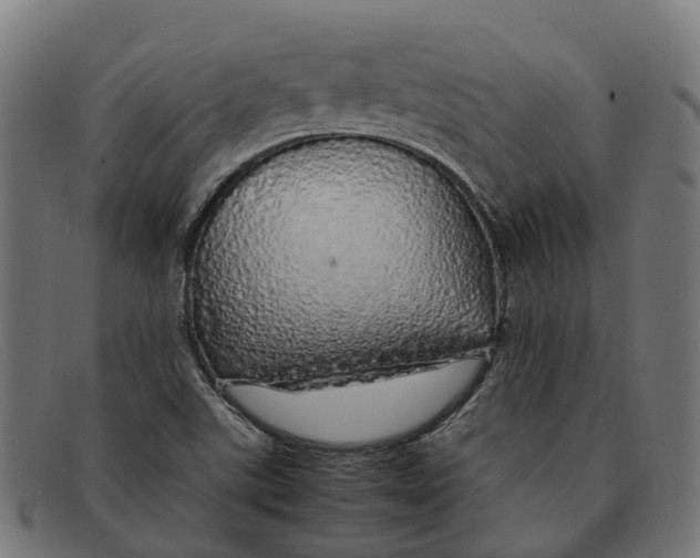 X0000091491507200709131821