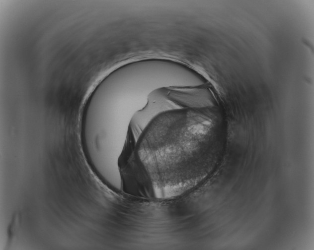 X0000091491508200709131821
