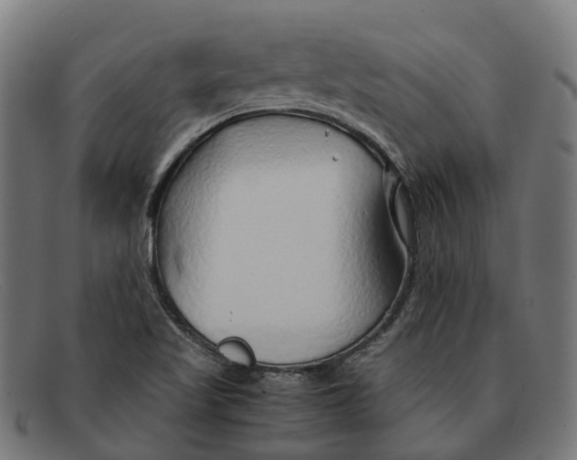 X0000091491509200709131821