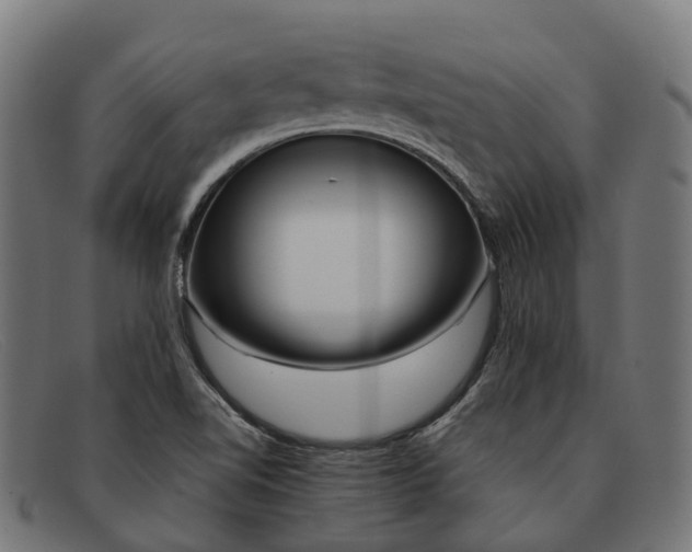 X0000091491510200709131821