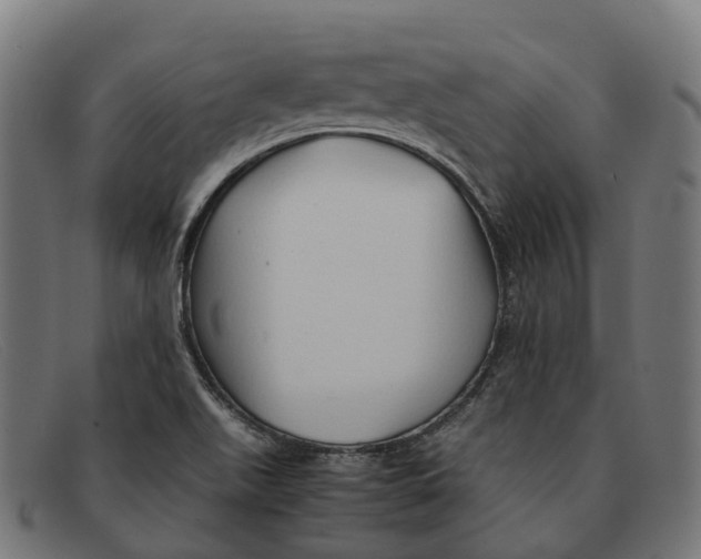 X0000091491511200709131821