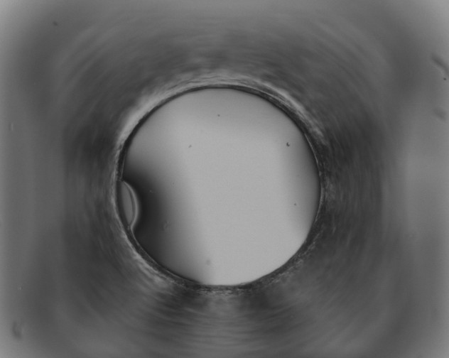 X0000091491512200709131821