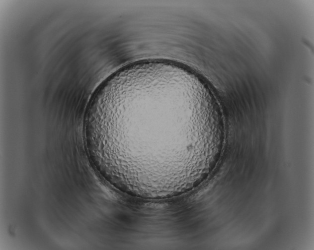 X0000091491513200709131821
