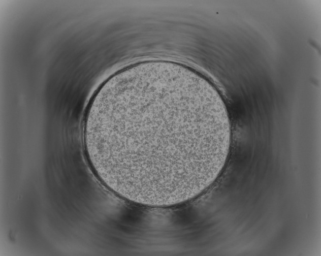 X0000091491514200709131821