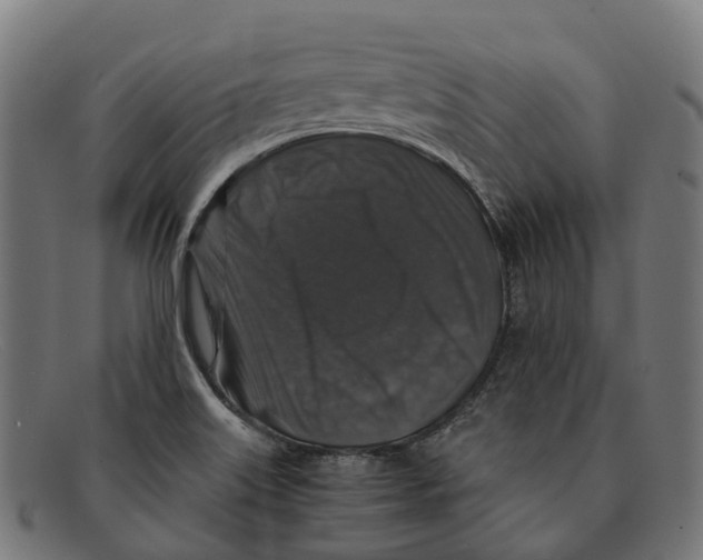 X0000091491515200709131821