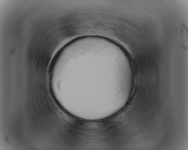 X0000091491517200709131821