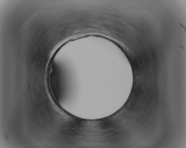 X0000091491518200709131821