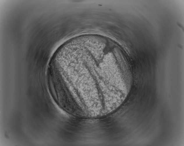 X0000091491519200709131821