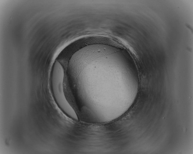 X0000091491520200709131821