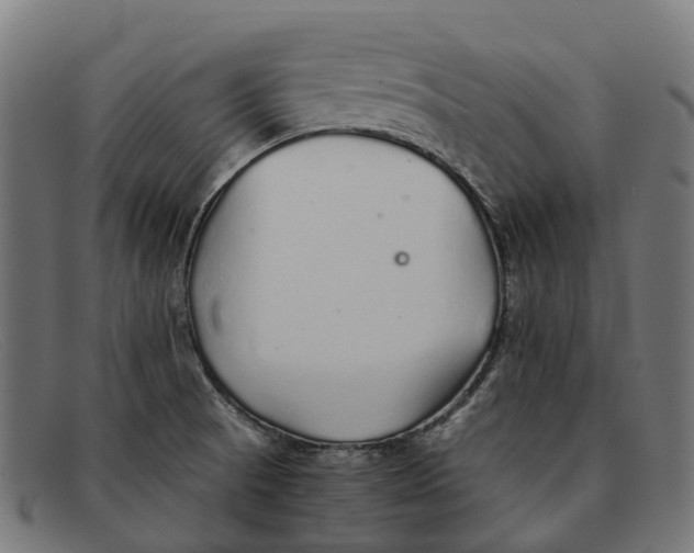 X0000091491521200709131821