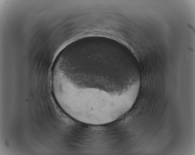 X0000091491522200709131821