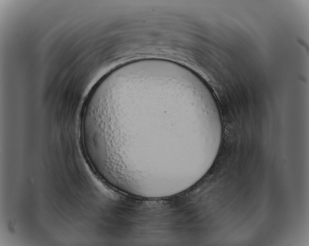 X0000091491523200709131821