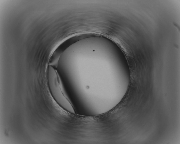 X0000091491524200709131821