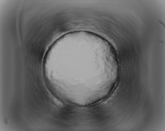 X0000091491525200709131821