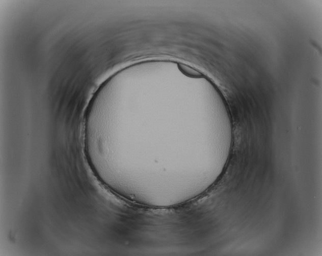 X0000091491526200709131821